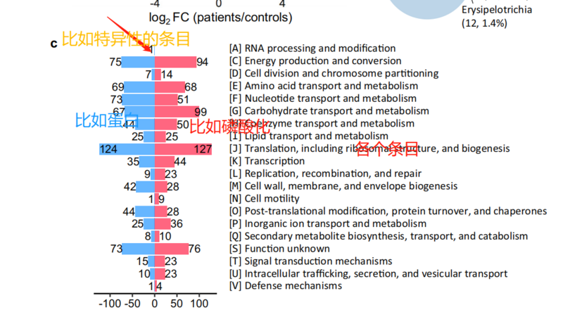 文件:企业微信截图 1706598366872.png