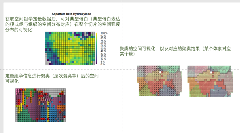 文件:企业微信截图 17026269341236.png