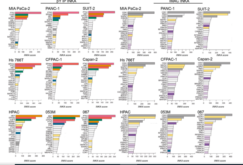 文件:企业微信截图 17110903678395.png