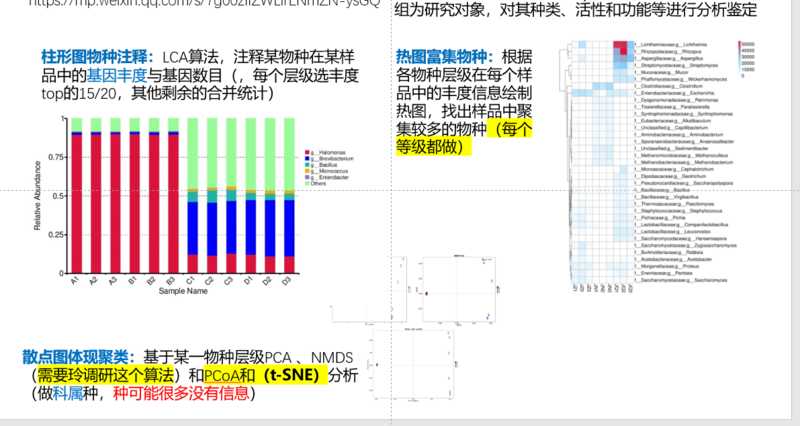 文件:企业微信截图 17026319271295.png