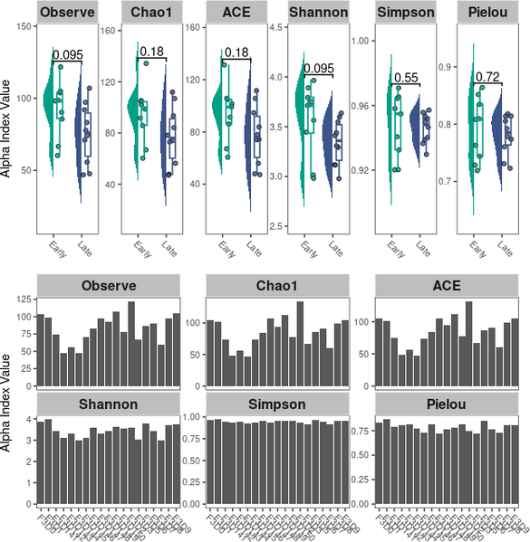 文件:The alpha diversity comparison.png